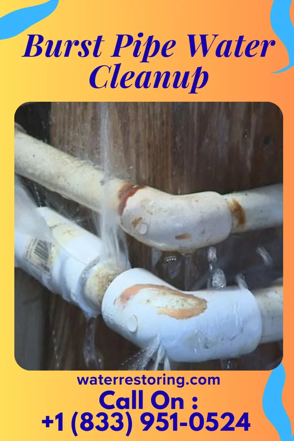 Burst Pipe Water Cleanup in Willernie, MN