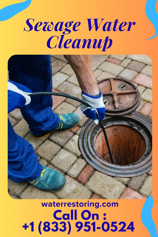 Sewage Water Cleanup in Willernie, MN